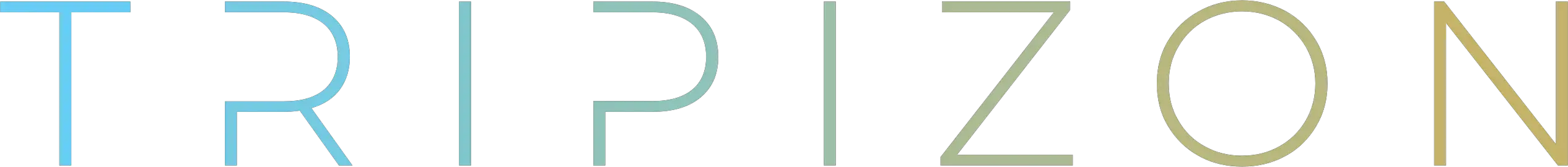 tripizon logo
